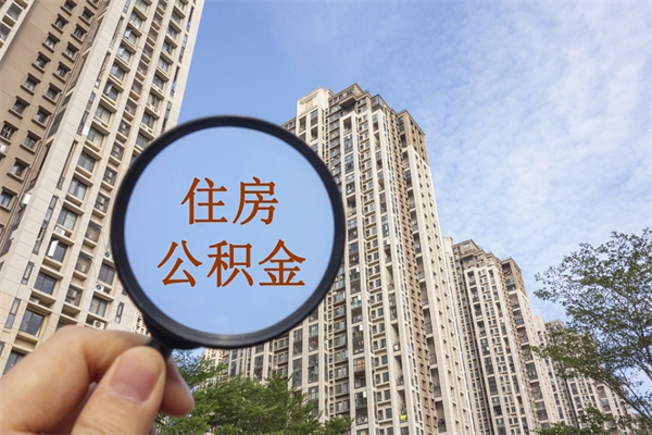 社保断缴可以开公积金么_北海公积金代办服务
